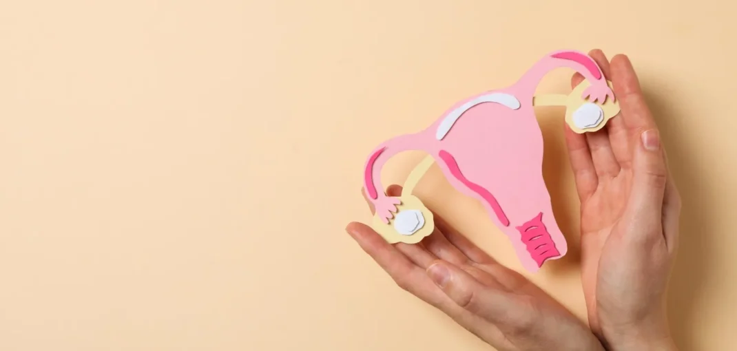 Collagen Vaginal Cream: Benefits, Science, Safety, and Use Cases 6 Collagen Vaginal Cream Benefits, Science, Safety, and Use Cases