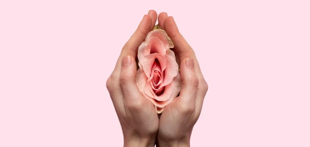 Vaginal Dryness Treatment: Hormonal vs Non-Hormonal Options (Complete Guide) 5 Vaginal Dryness Treatment: Hormonal vs Non-Hormonal Options (Complete Guide)